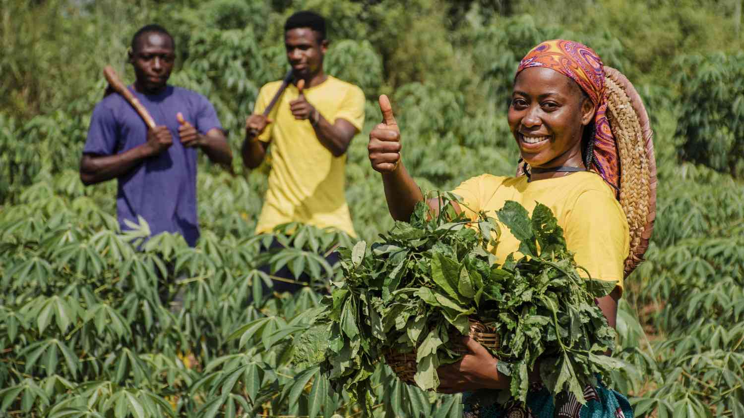 Cultivating Change: How Our Sustainable Farm in Plateau Fuels Hope & Empowers Lives